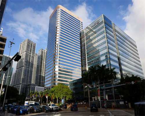 视频博主强迫宠物狗当大胃王，网友怒了：拒绝虐待