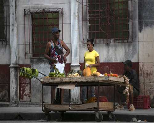 狗狗不能随便摸，但让你摸这4处，你就是它最爱的人