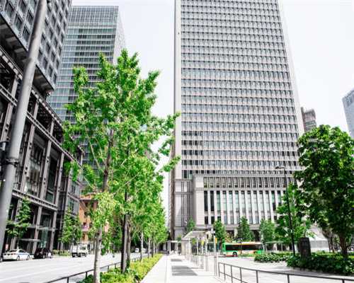 在这五大时期，柴犬“掉毛”非常厉害，经历过的人都懂