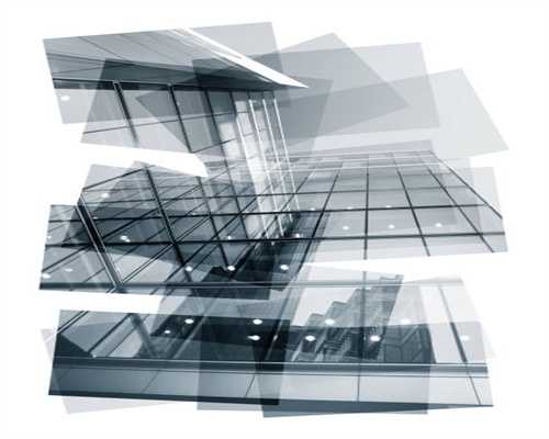 养狗必备：给狗狗吃什么好？答案是这几种