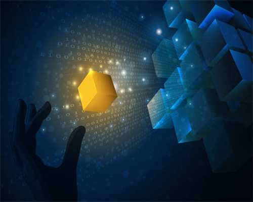 新手养猫6大禁忌！别不当一回事