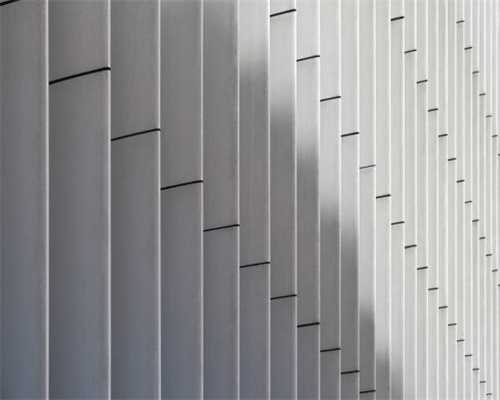 英国网红小海豹被宠物狗咬伤后不幸死亡，狗主人却带狗逃跑了