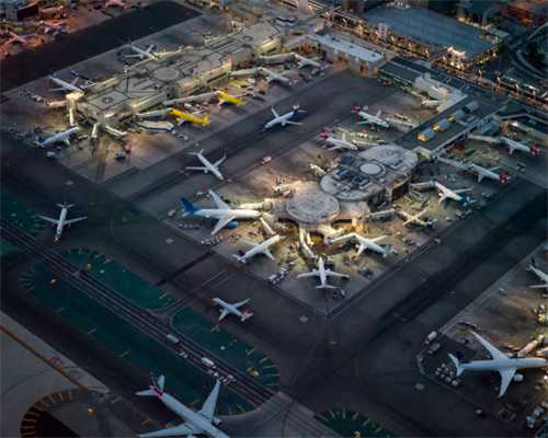 普及：中华田园犬的选品