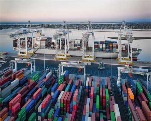 冬天狗狗怕冷怎么办？