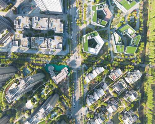 西班牙爱心警察，为车祸流浪狗送最后一程