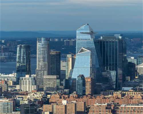 我用什么办法救活了我家这只得了“细小病毒”的小泰迪