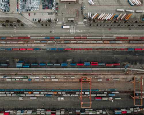 狗狗耳螨该怎么办 狗子得了耳螨怎么做