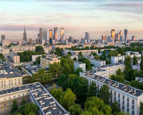 主人离家仅2个小时，9只爱犬竟被浓烟活活呛死…