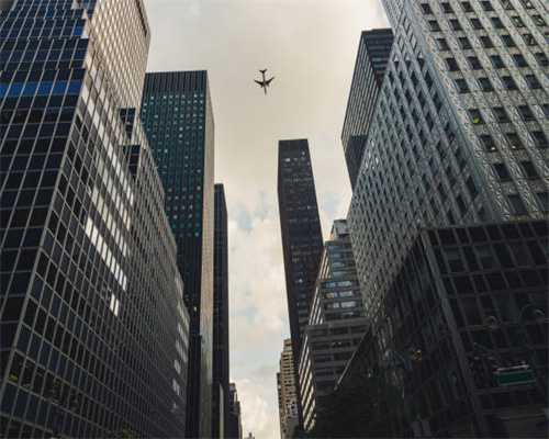 泰迪犬体型这么小，有必要用笼子养吗？