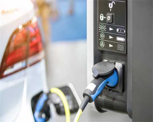 狗子对狗毛过敏？相煎何太急