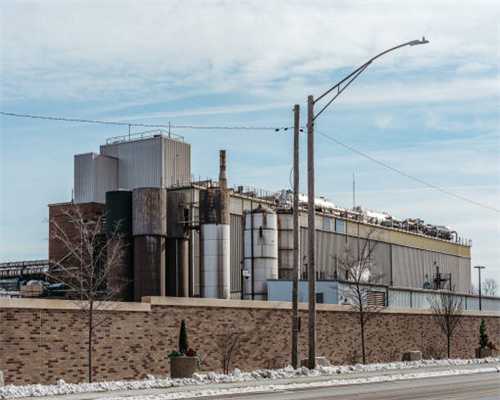 七分稳重，三分凶猛，攻守兼备的大将军-小鳄龟！