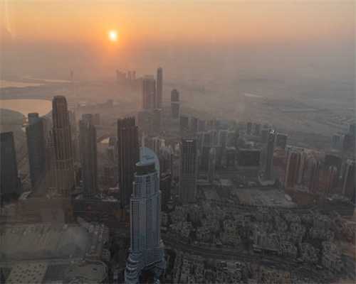 （五）观赏鸟大全-雀形目 精彩视觉观赏-鸟