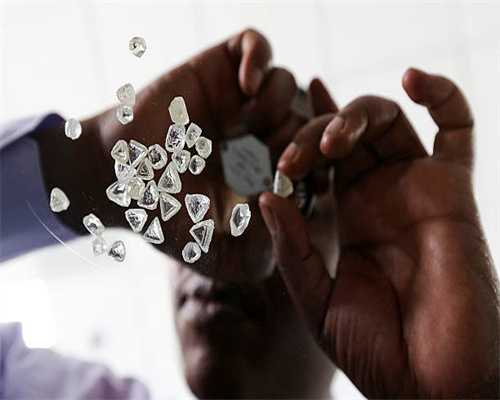 为什么你的狗会在床上撒尿？