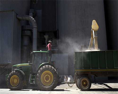 泰迪为什么招人烦？