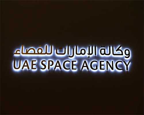 养一只猫够吗？当然不够，两只才是王道