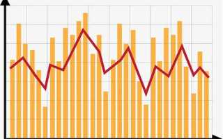 纯种柴犬一般多少钱？了解价格别被套路了