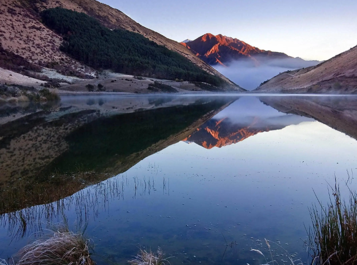 爱在寒冬—苏州领养之四汪一喵~