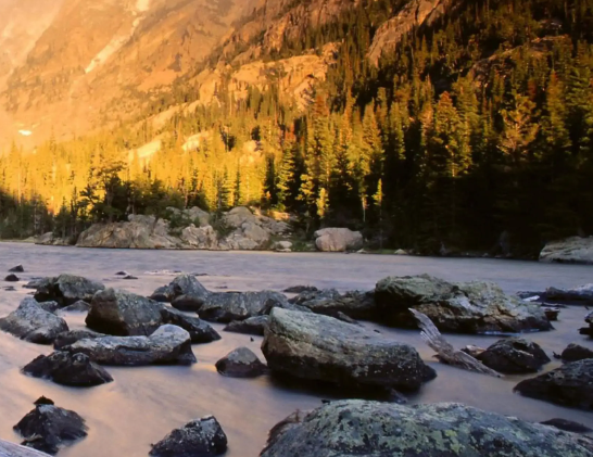 狗狗遭遇“飞来横祸”，都是疏忽大意惹的祸，心都碎了